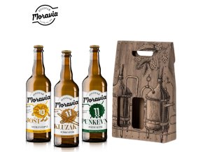 punkevní kluzák jost