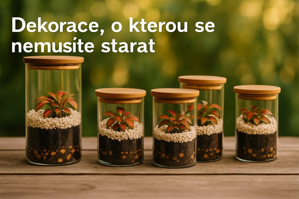 Florárium dekorace