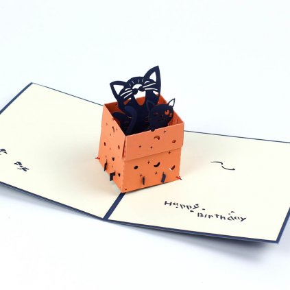 3D přání Kočičky v krabici