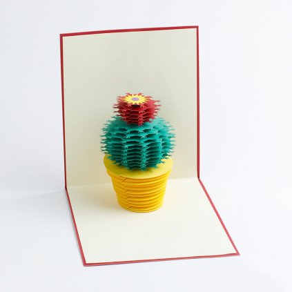3D přání Rozkvetlý kaktus