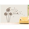 Samolepka na zeď Odkvetlé pampelišky hnědé
