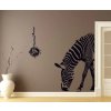 Samolepka na zeď Zebra