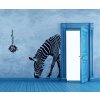 Samolepka na zeď Zebra