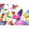 3D Motýlci vícebarevní