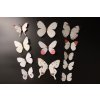 3D Motýlci Bílí magnet samolepka