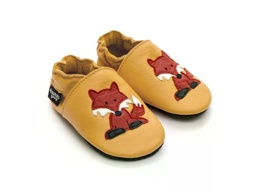 800Fox 2025090636590 Recoloredt