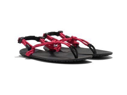 GEN RASP W Genesis Raspberry Angle Pair 5970 WEB