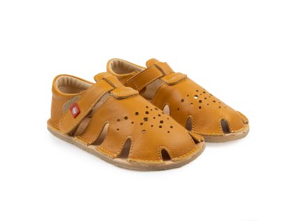 Aranya Ocre 1