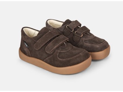 Lane Dark Brown Brown primary