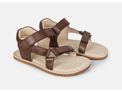 Haven Dark Brown Brown primary