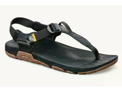 scorpion 3qtrsingle 800x.progressive