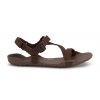 brown 222