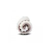 4024 10 leguanito scio rose 23 bis 28 11
