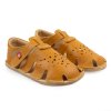 Aranya Ocre 1