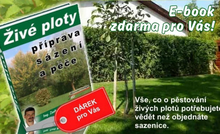 E-book o pěstování živých plotů zdarma