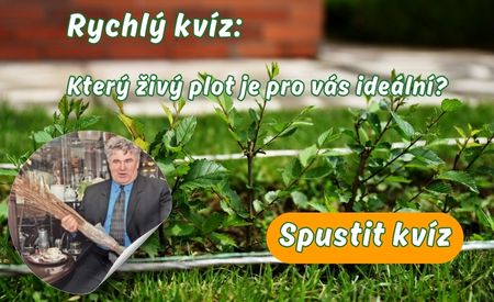 Rychlý Kvíz
