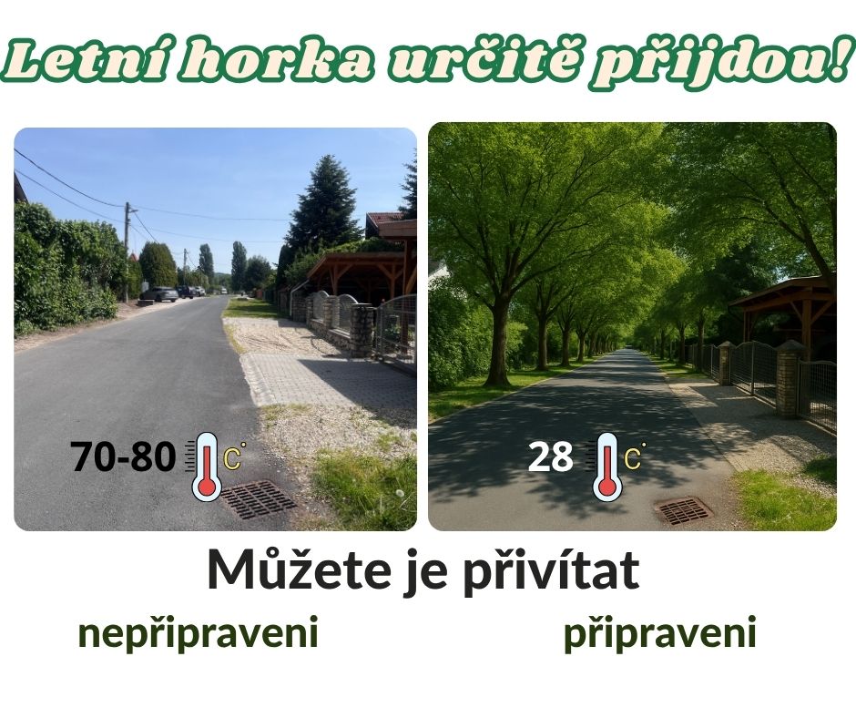 jilm-bujny-stinodarny-1