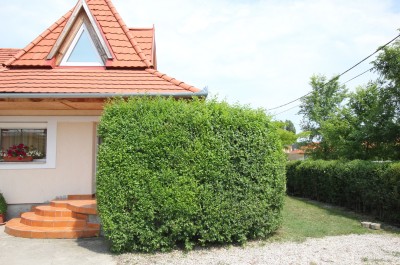 Jilm-Sibirsky-Zazracny-ploti-12