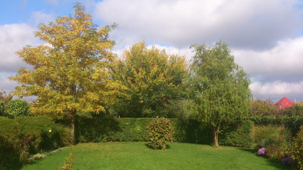 000-2013-jesen-1024x576