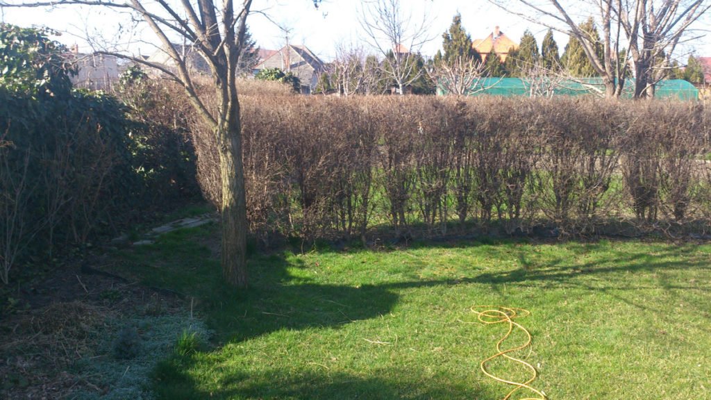 001-2014-ozdravny-povodne-1024x576