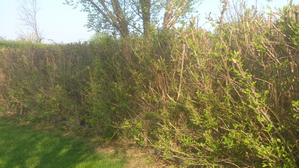 005-2014-duben-07-ozdravny-1024x576