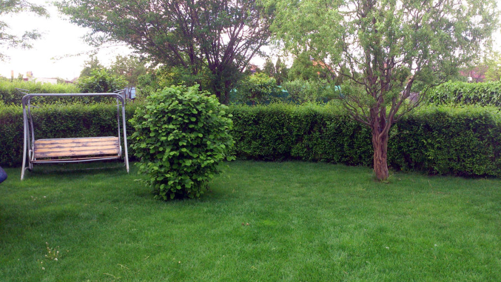 007-2014-duben-30-ozdravny-1024x576