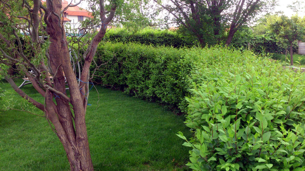 008-2014-duben-30-ozdravny-1024x576