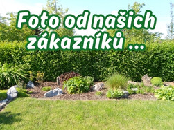CZ-Foto-zakazniku