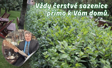 DB1-vzdy-cerstve