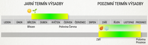 terminy-vysadby