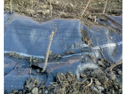 zivy plot polozenie folie 05