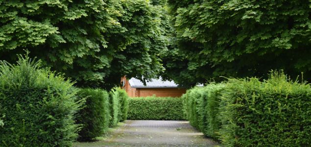 Buk-Tivoli-Produkt-01