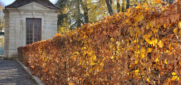 Habr-Lombard-Produkt-02