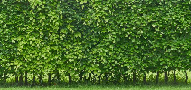 Habr-Lombard-Produkt-06