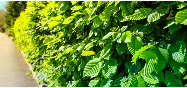 Habr-Lombard-Produkt-07