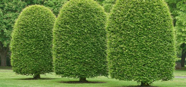 Habr-Lombard-Produkt-11