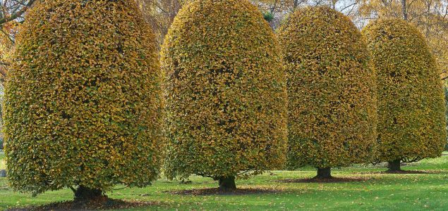 Habr-Lombard-Produkt-12