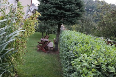 Jilm-Sibirsky-Zazracny-ploti-09