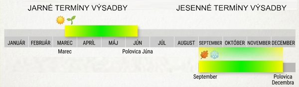 terminy-vysadby