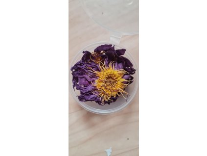 dda5fabc 7ec0 44db 8101 1e64e1b392d5