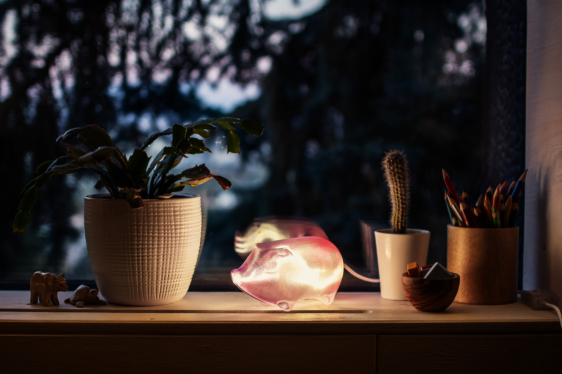 selátko Qík v okně