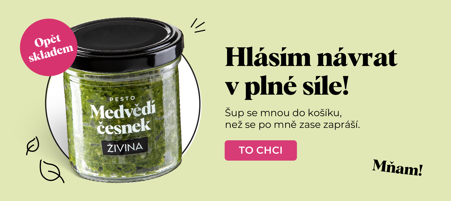 Pesto medvědí česnek