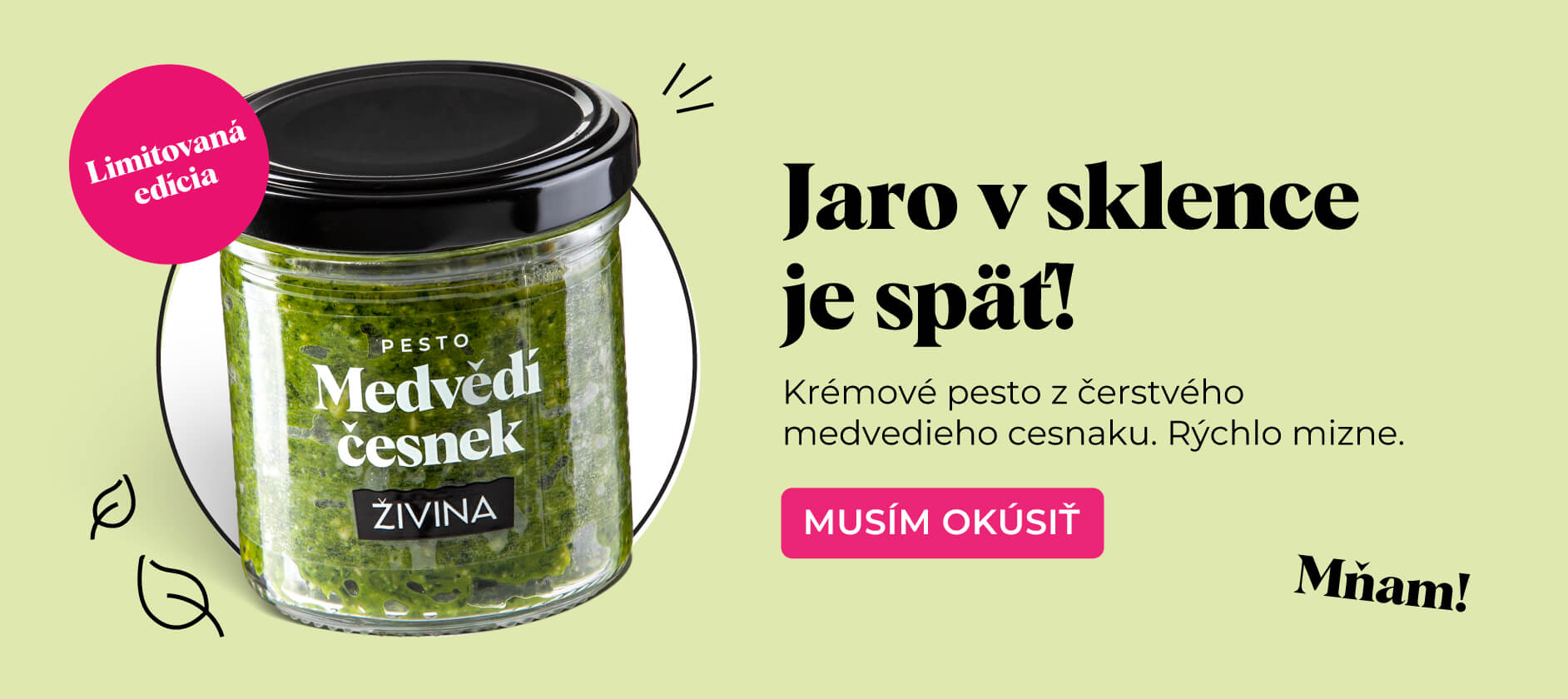 Pesto medvědí česnek