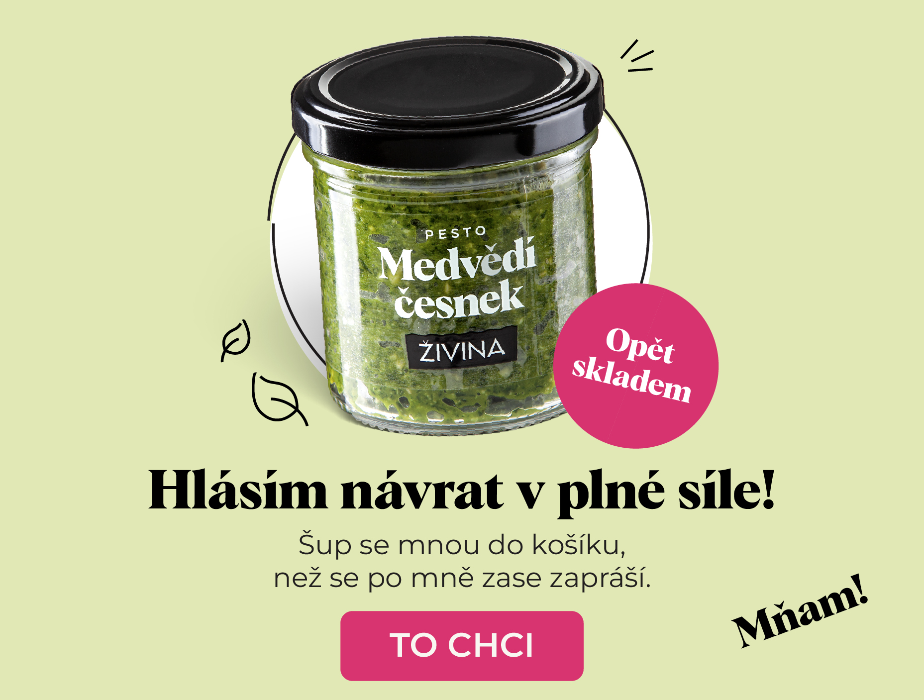 Pesto medvědí česnek