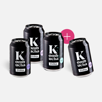 Kombucha akce 3plus1 grey (1)