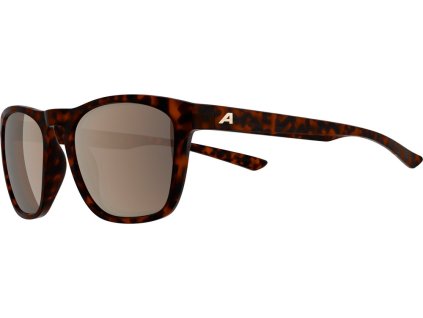 ALPINA Gleam  okuliare, havana lesklé