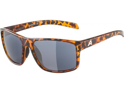 ALPINA okuliare Nacan I havana lesklé