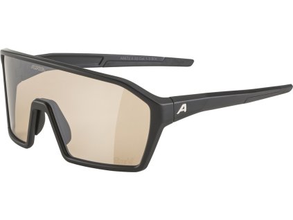 ALPINA RAM Q-Lite V okuliare, strieborné