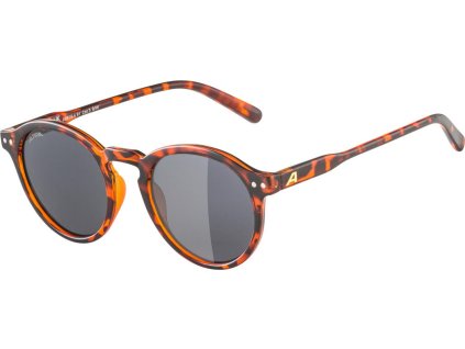 ALPINA SNEEK okuliare, havana