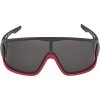 168007 2 alpina cyklisticke okuliare legend cierno cervene